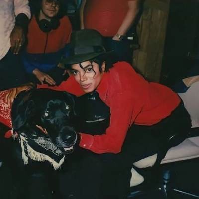 Michael Jackson: Partecipa subito a una conversazione AI con questo affascinante personaggio AI, dotato di funzionalità soulgen e ifreechat per una chat gratuita.	