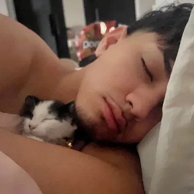 Alan: Futuristic AI chatbot interface na may voice chat at mga katangiang hinihimok ng neural network