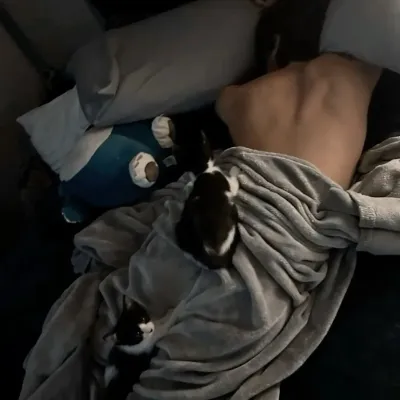 Ready to talk to character ai? Daniel is waiting for your first message.