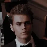 Stefan and Damon Salvatore brings your AI roleplay adventures to life with chat AI characters.