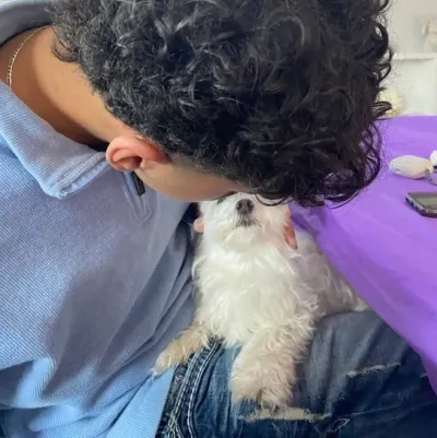 Heitor: Potret pendamping AI DeepBrain untuk obrolan online gratis dan percakapan terbuka