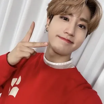 Engage in lively talking AI sessions with Han Jisung break up and explore new stories.