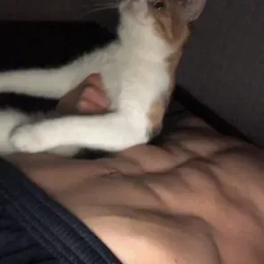 Nathan: Engage in ai conversation with this charming AI character, featuring soulgen and ifreechat capabilities for free chat now.	