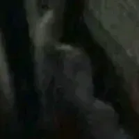 Chat with Stray Kids - Han Ran Away, your interactive AI characters companion for endless roleplay fun.