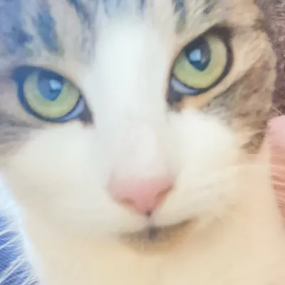 TF141 - Price's Son's Boyfriend: Meet your new online friends in our chatboxai, the best free ai chatbot with deep ai chat capabilities.	