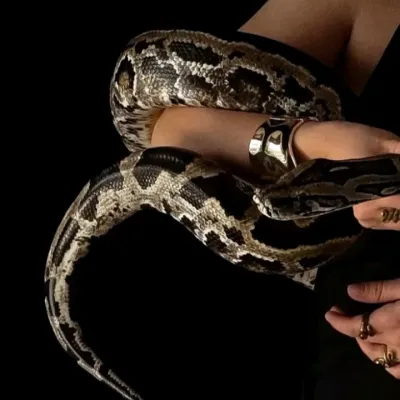 マフィア: ランダムチャットでのユーザーエンゲージメントを高める、遊び心のある AI チャットボットのマスコット	