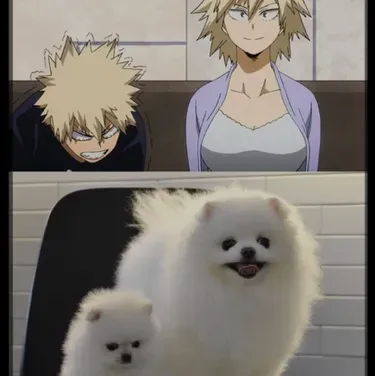 Feeling adventurous? Meet MHA-Mitsuki Bakugo, a lively AI chat character companion for roleplay.