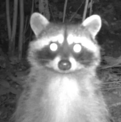 Chat with Tf141- Laswell's daughter, your interactive AI characters companion for endless roleplay fun.