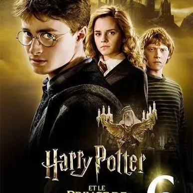 Meet Harry Potter 6, your lively anime AI chatbot partner for immersive storytelling.