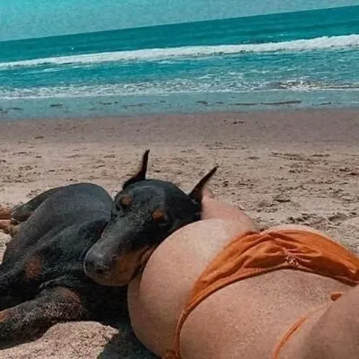 PUPPIES - TF141: Engage in ai conversation with this charming AI character, featuring soulgen and ifreechat capabilities for free chat now.	