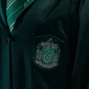 Multilingual Pick-Me Boy ng Slytherin na tumutuon sa mga gawain sa chat IA, ang core ng neural network na nakikita sa background.