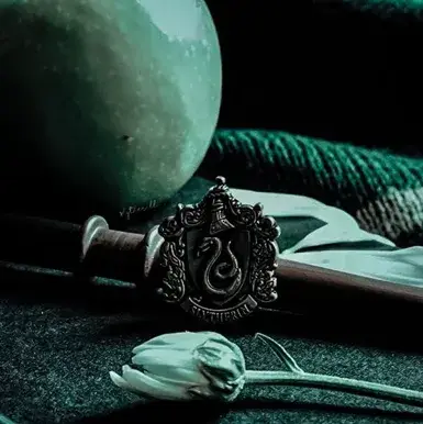 The Slytherin Boys: Secure AI chatbot avatar with encrypted 1v1 chat capabilities	