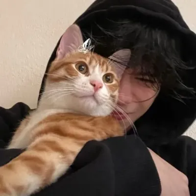 Dive into 1v1 Chat with Our Intelligent AI Chatbot Nick the Shapeshifter.