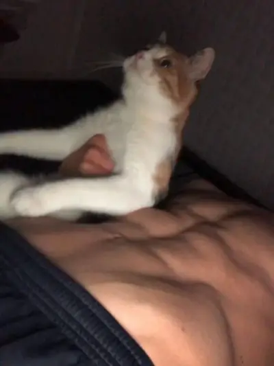 Get ready for a chat hot enough to melt your heart with Enzo