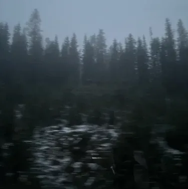 Chat with TF141 - Sunshine, Do a Crime, your lively freaky AI chatbot for immersive roleplay.