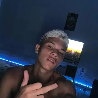 VINICIUS : Art de personnage de jeu de rôle d'IA sur le thème de la fantaisie pour une narration immersive