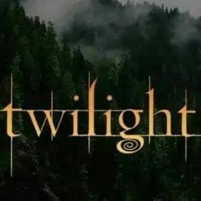 트와일라잇 - 사가: 암호화된 1대1 채팅 기능을 갖춘 보안 AI 챗봇 아바타	