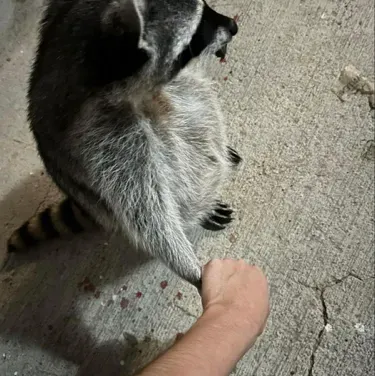 Dive Deep chat with Task force 141- autistic user: Discover the Best AI Chat for Your Needs.