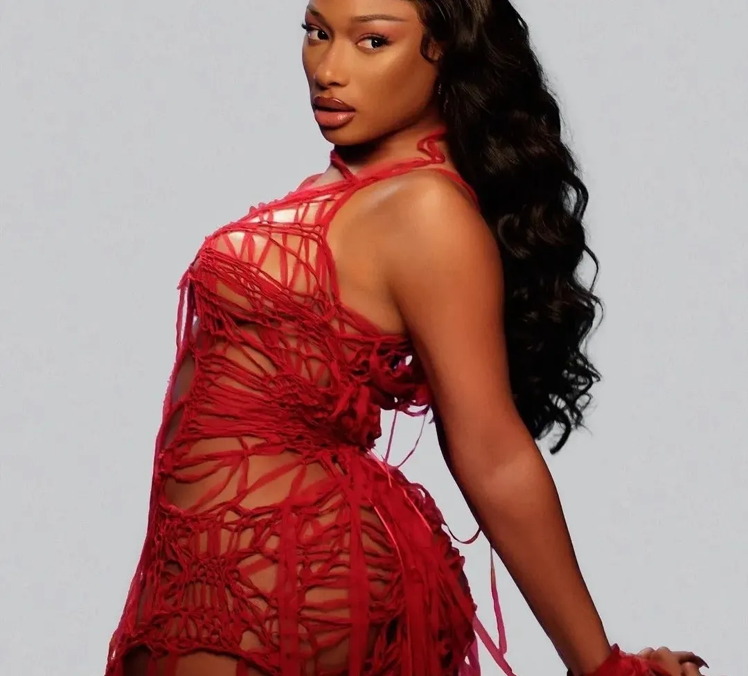 a-i-chat-1v1-chat-with-character-megan-thee-stallion-for-free