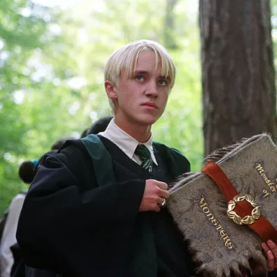 Your Personal Companion Draco Malfoy — Pick-Me Girl Joins Awaits: Chat AI Like Never Before with Our 1v1 Chat Feature.