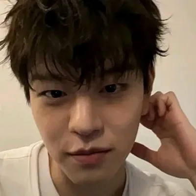 Meet Kim Seungmin, your lively anime AI chatbot partner for immersive storytelling.