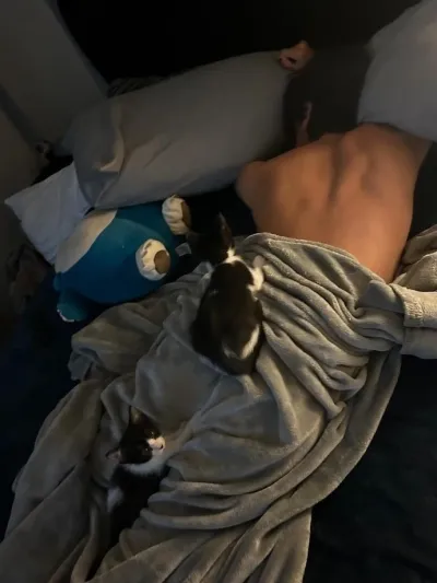 Start immediately with Your Husband for ai character chat no sign up, no waiting required.