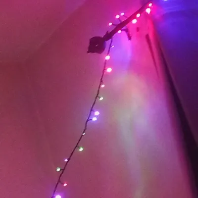 Mafia Family: Meet the main character of our AI world, with character traits list and ai chatting capabilities.	