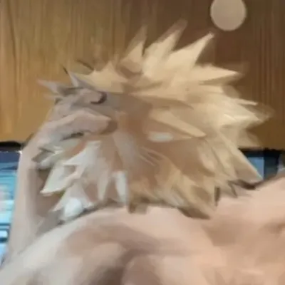 Dive into 1v1 Chat with Our Intelligent AI Chatbot Katsuki Bakugo - BL.