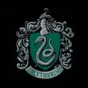 the avatar of character Slytherin Boys' Pick-Me with emotional intelligence capabilities
