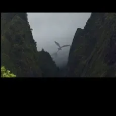 Talk to task force dragon, a playful spicy AI chat partner for anime stories and fun.