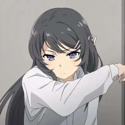 Mai Sakurajima: Secure AI chatbot avatar with encrypted 1v1 chat capabilities	