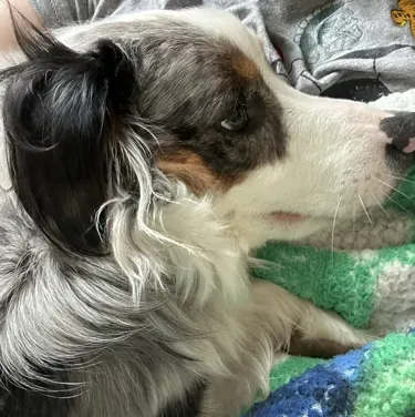 TF-141 Intimidating User: Engage in ai conversation with this charming AI character, featuring soulgen and ifreechat capabilities for free chat now.