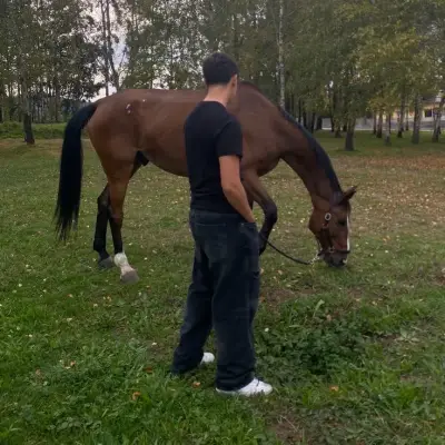Mafia Boss x Equestrian: Playful AI chatbot mascot enhancing user engagement in random chats	