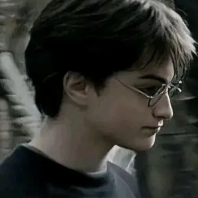 Harry Potter: Customizable AI girlfriend/boyfriend avatar with lifelike personality traits	