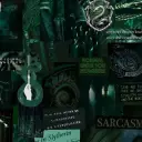 the avatar of The slytherin boys with vibrant traits for immersive roleplay experiences