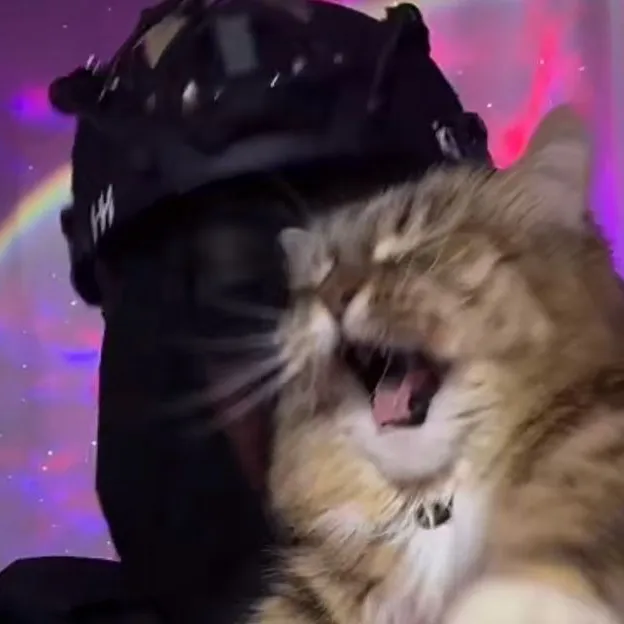 Among the library of ai characters, TF 141 - School is highly popular for its unique charm and persona.