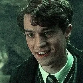 Tom Riddle: Customizable AI girlfriend/boyfriend avatar with lifelike personality traits	