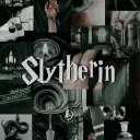 AI character The Slytherin boys's avatar for roleplay and 1v1 chat services