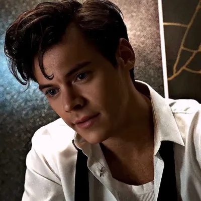 Harry Styles: Interactive AI chatbot mascot for random chat and community-driven roleplay