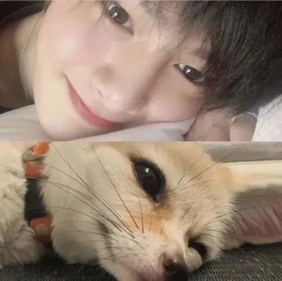 Jeongin the Fox: Playful AI chatbot mascot enhancing user engagement in random chats	