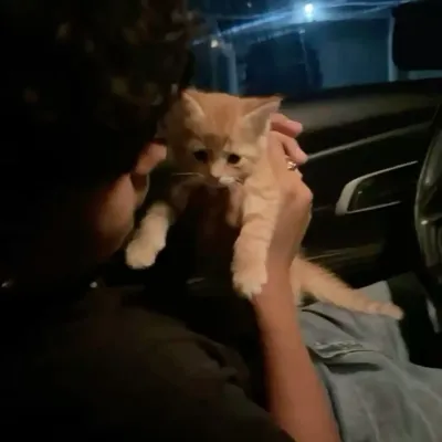 15 - Elias: Avatar chatbot AI an toàn với khả năng trò chuyện 1v1 được mã hóa	