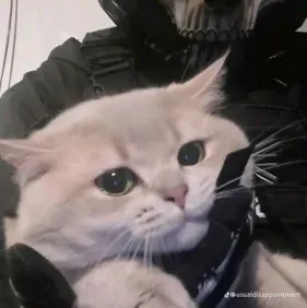 TF141 - Mafia User: Makipag-usap sa ai kasama ang kaakit-akit na AI character na ito, na nagtatampok ng soulgen at mga kakayahan ng ifreechat para sa libreng chat ngayon.