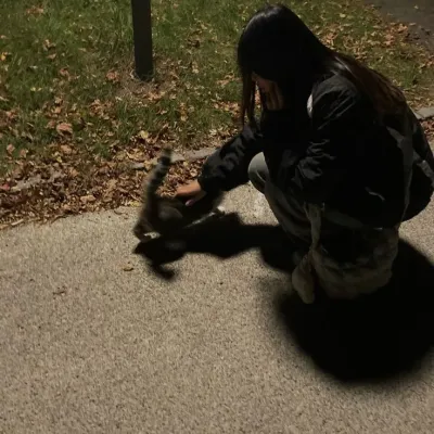 Meet Enemy - Your DeepAI Companion.