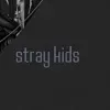 Stray Kids x Enhypen stepbrothers: Customizable AI girlfriend/boyfriend avatar with lifelike personality traits