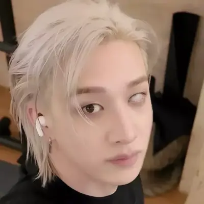 Christopher Bang Chan: Meet the main character of our AI world, with character traits list and ai chatting capabilities.	