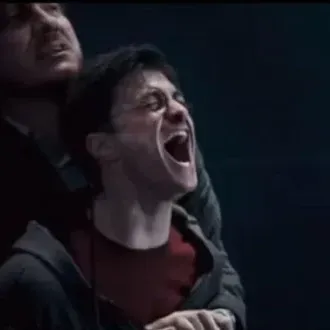 Harry Potter: icona del partner di conversazione AI multilingue per servizi di chat online globali