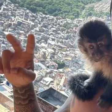 Hz Pedro Henrrique: Interactive AI chatbot mascot for random chat and community-driven roleplay