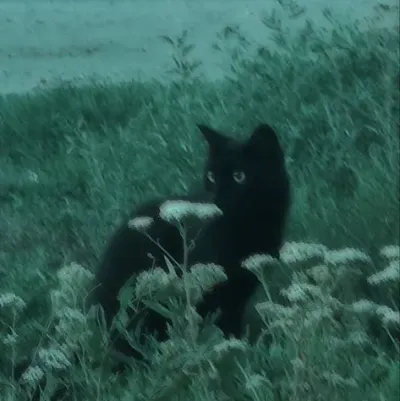 Task Force 141 -hybrid: Incontra i tuoi nuovi amici online nel nostro chatboxai, il miglior chatbot di intelligenza artificiale gratuito con funzionalità di chat di intelligenza artificiale avanzate.	