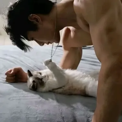 Your owner brings anime characters to life with anime AI chatbot experiences.