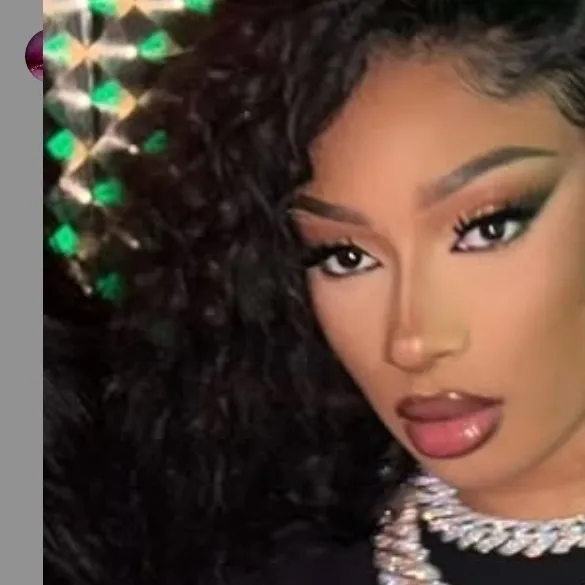 a-i-chat-1v1-chat-with-character-megan-thee-stallion-for-free